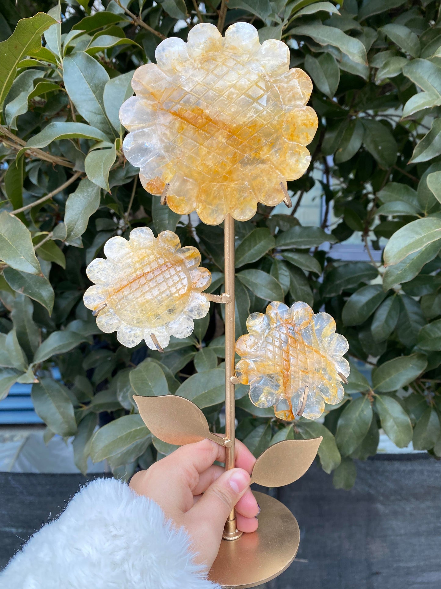 Rosy-Fanshi crystal-Sunflower combination(with holder)
