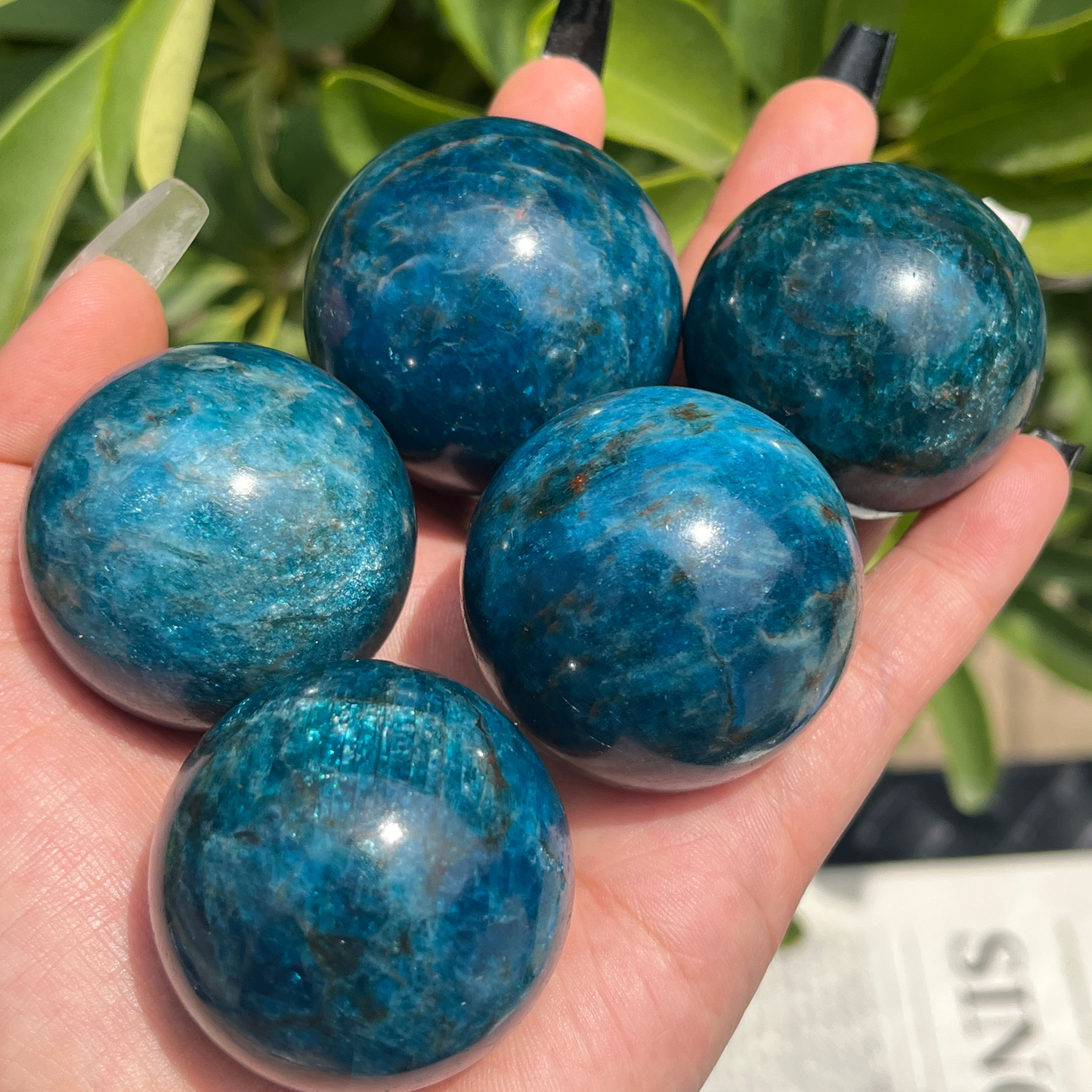 Natural Apatite Crystal Sphere Healing Energy Ball Meditation Home Decor Gift