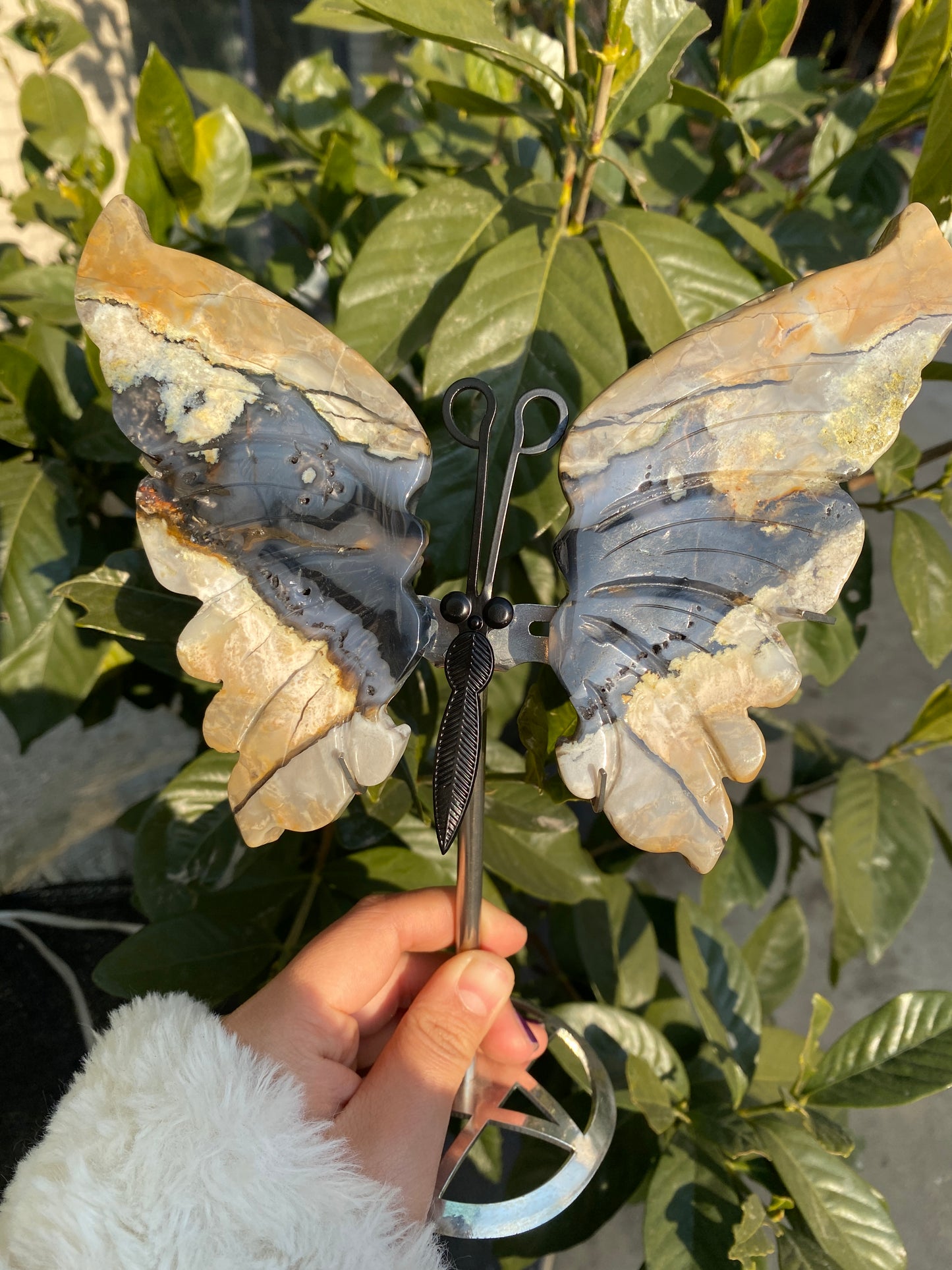 Rosy-fanshi crystal-butterfly family