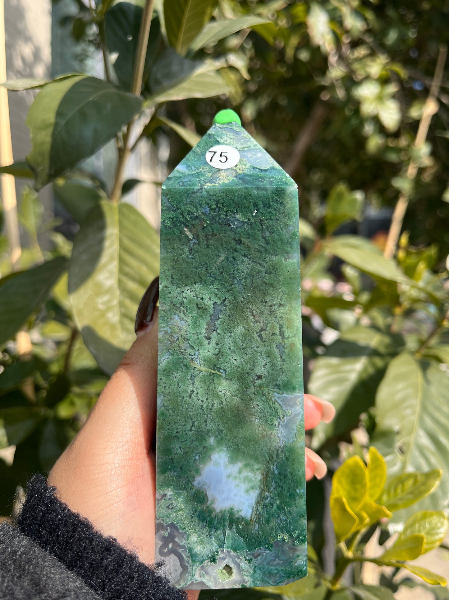 moss agate tower