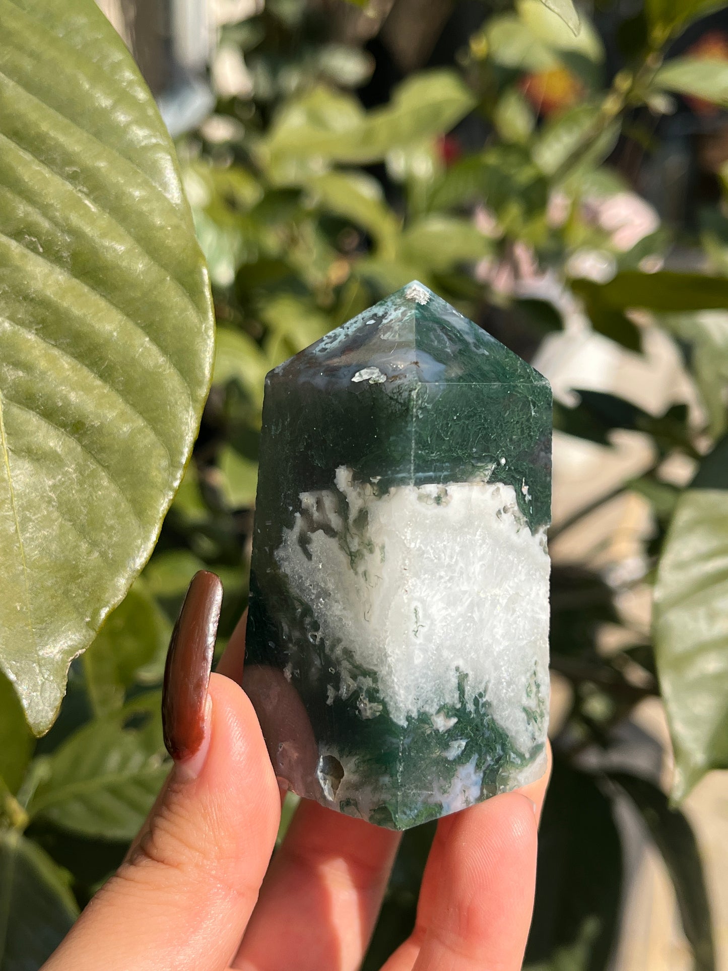 ocean jasper MINI tower