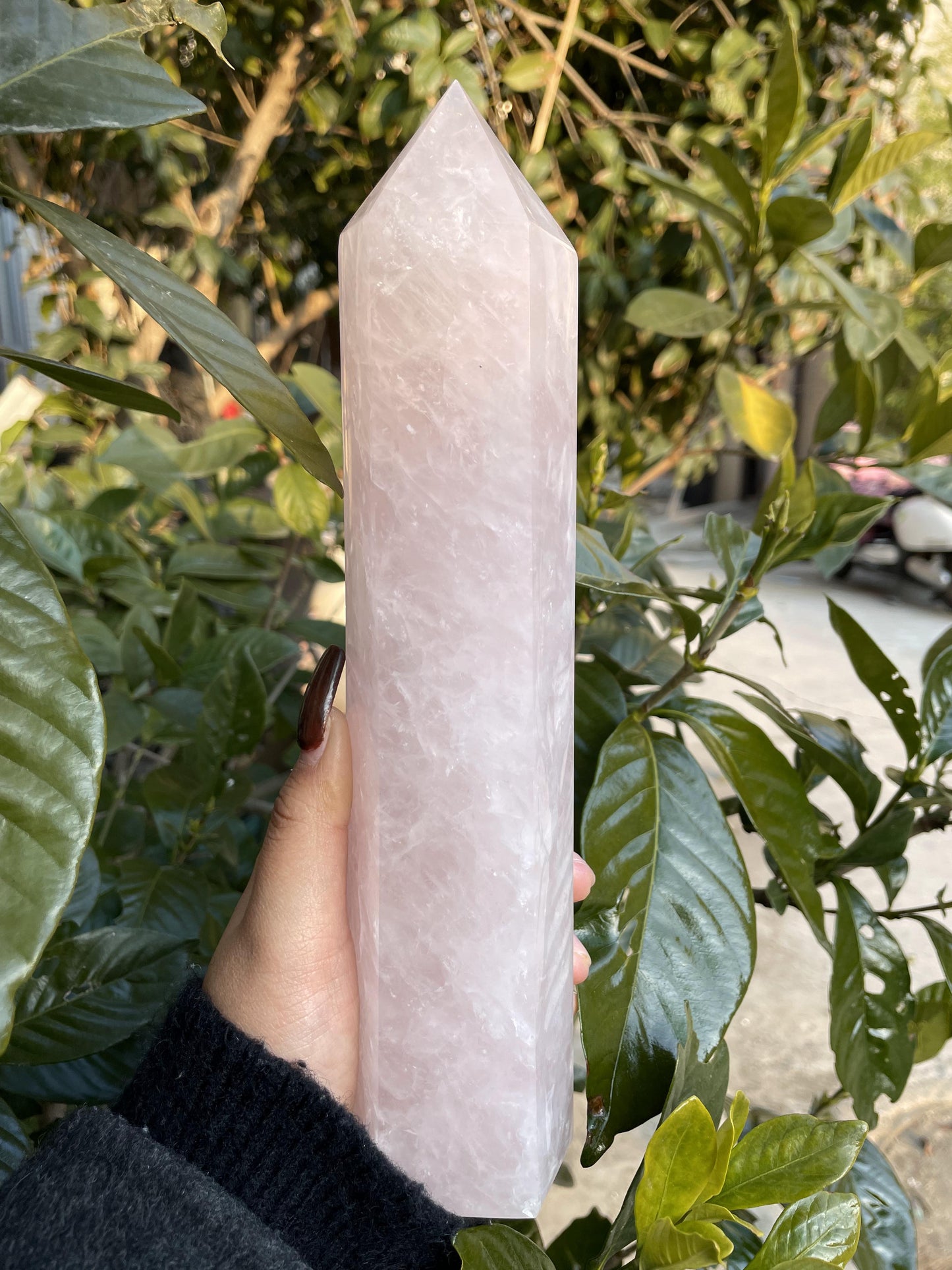 rose quartz big tower
