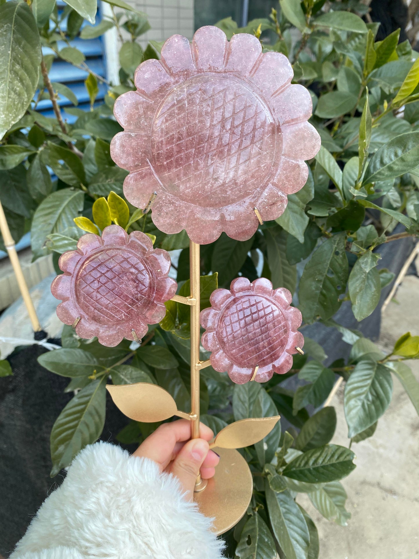 Rosy-Fanshi crystal-Sunflower combination(with holder)