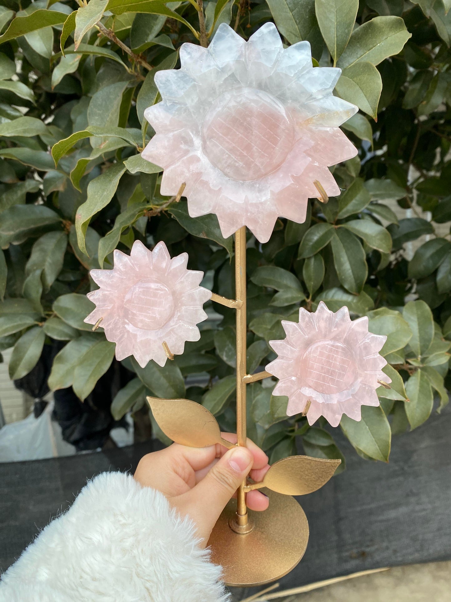 Rosy-Fanshi crystal-Sunflower combination(with holder)