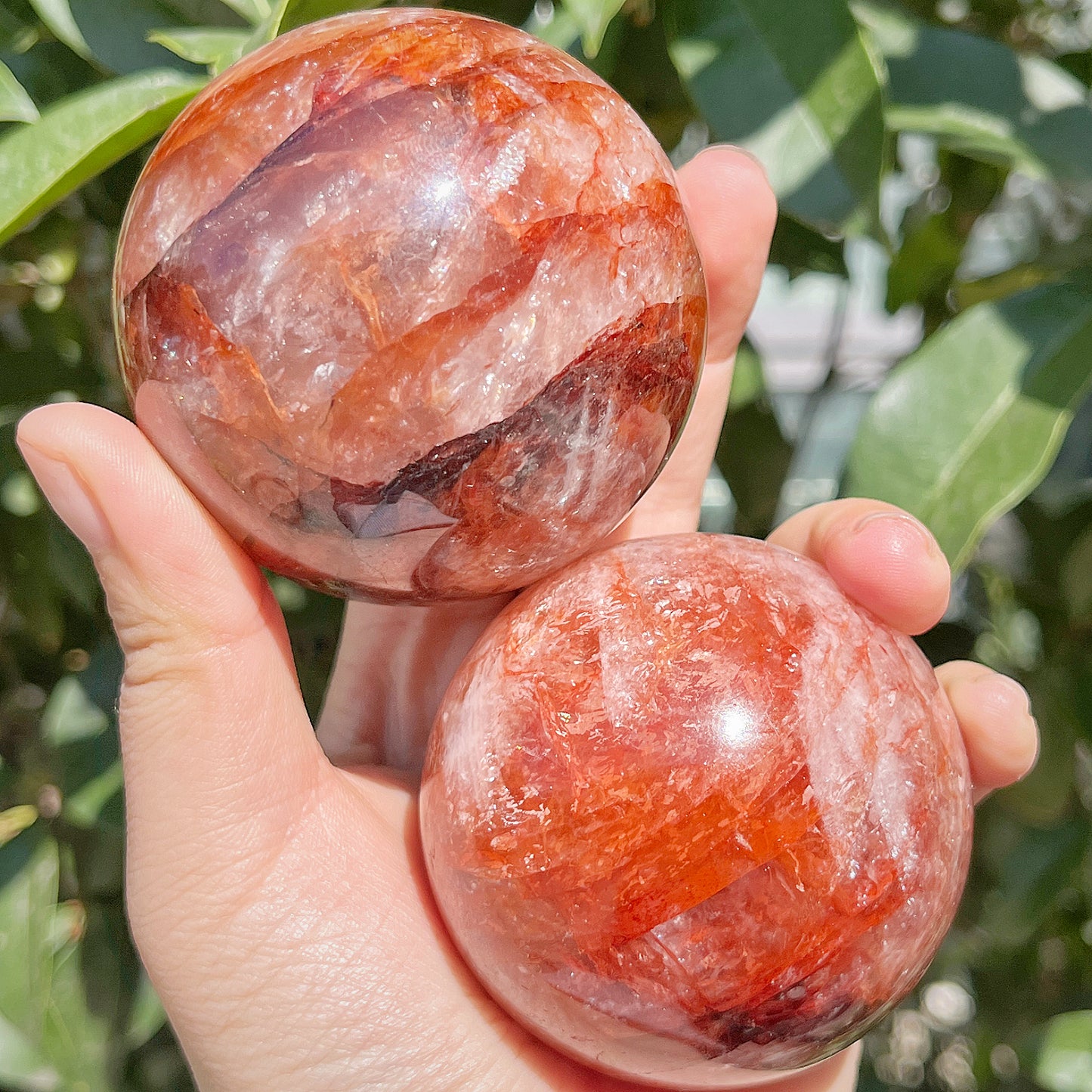 Natural Red gum flower ball Heal ing Gemstone Home Decor