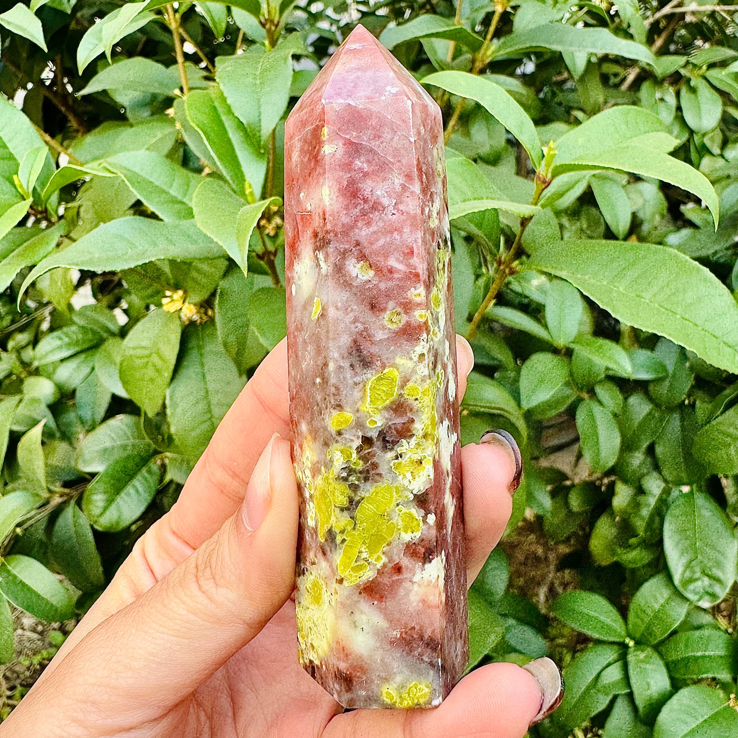 Natural Lotus tourmaline single pointed pillar Heal ing Gemstone Home Decor