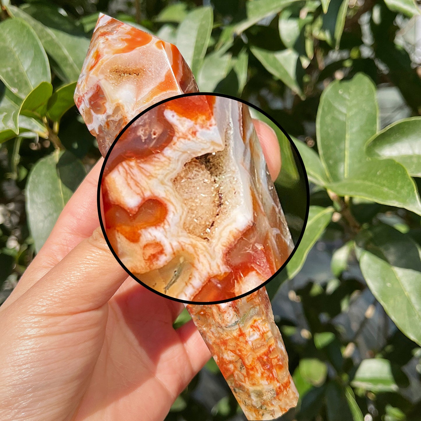 Natural Red Water Grass Agate Scepter Heal ing Gemstone Home Decor