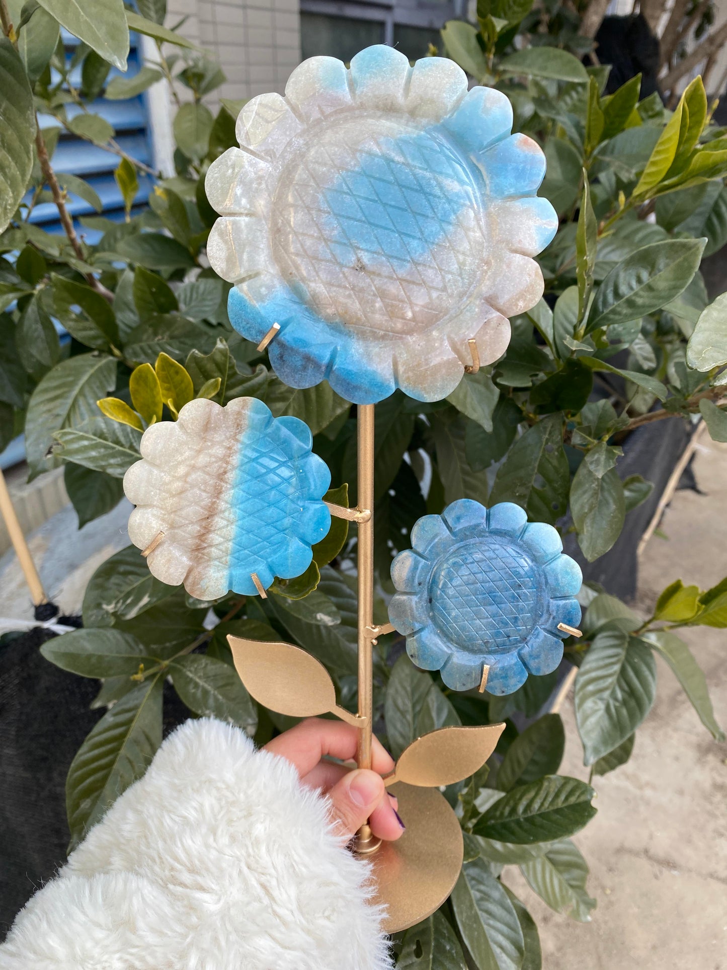 Rosy-Fanshi crystal-Sunflower combination(with holder)