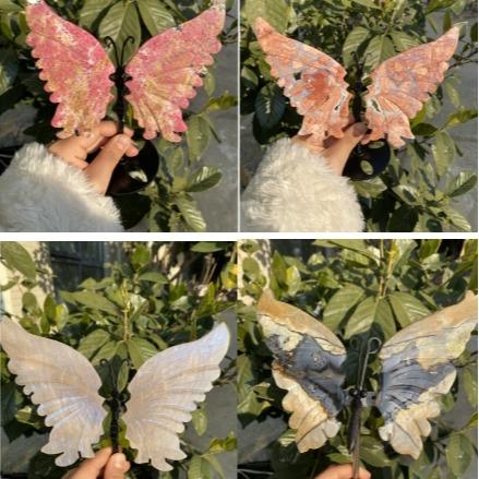 Rosy-fanshi crystal-butterfly family