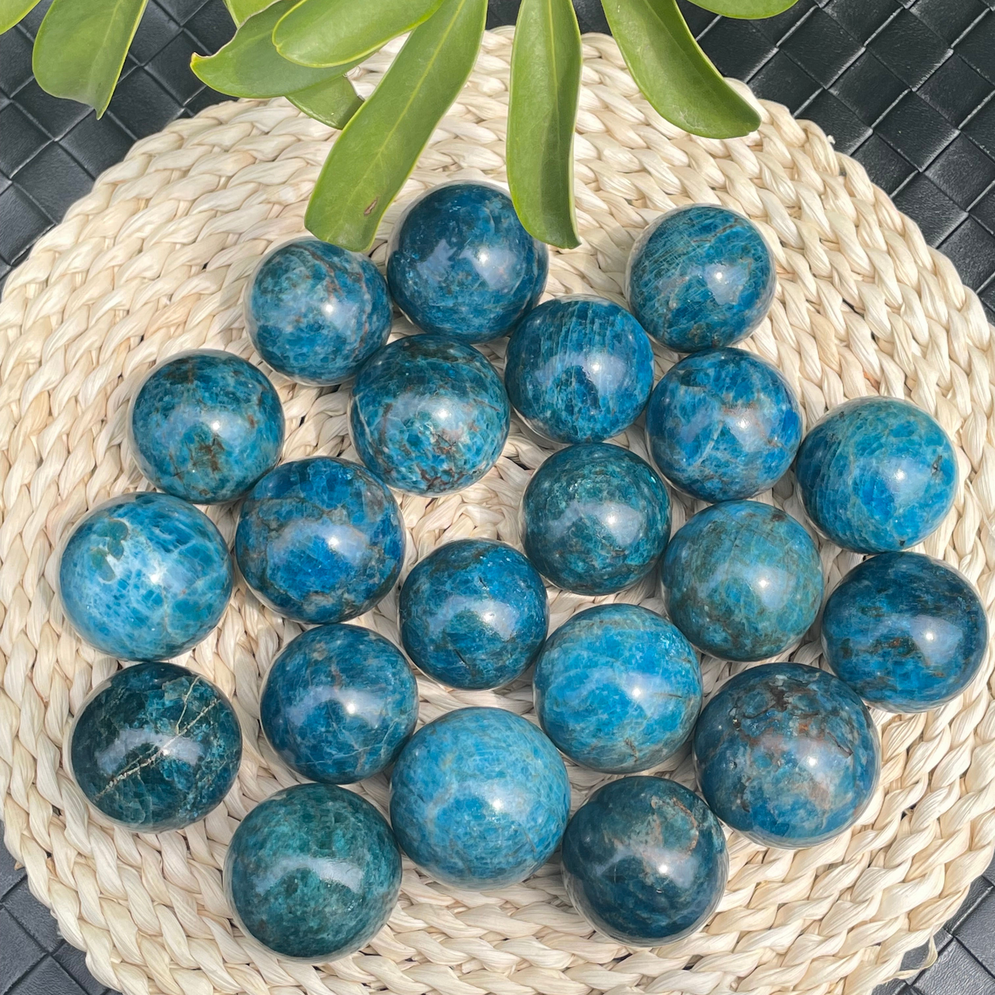 Natural Apatite Crystal Sphere Healing Energy Ball Meditation Home Decor Gift