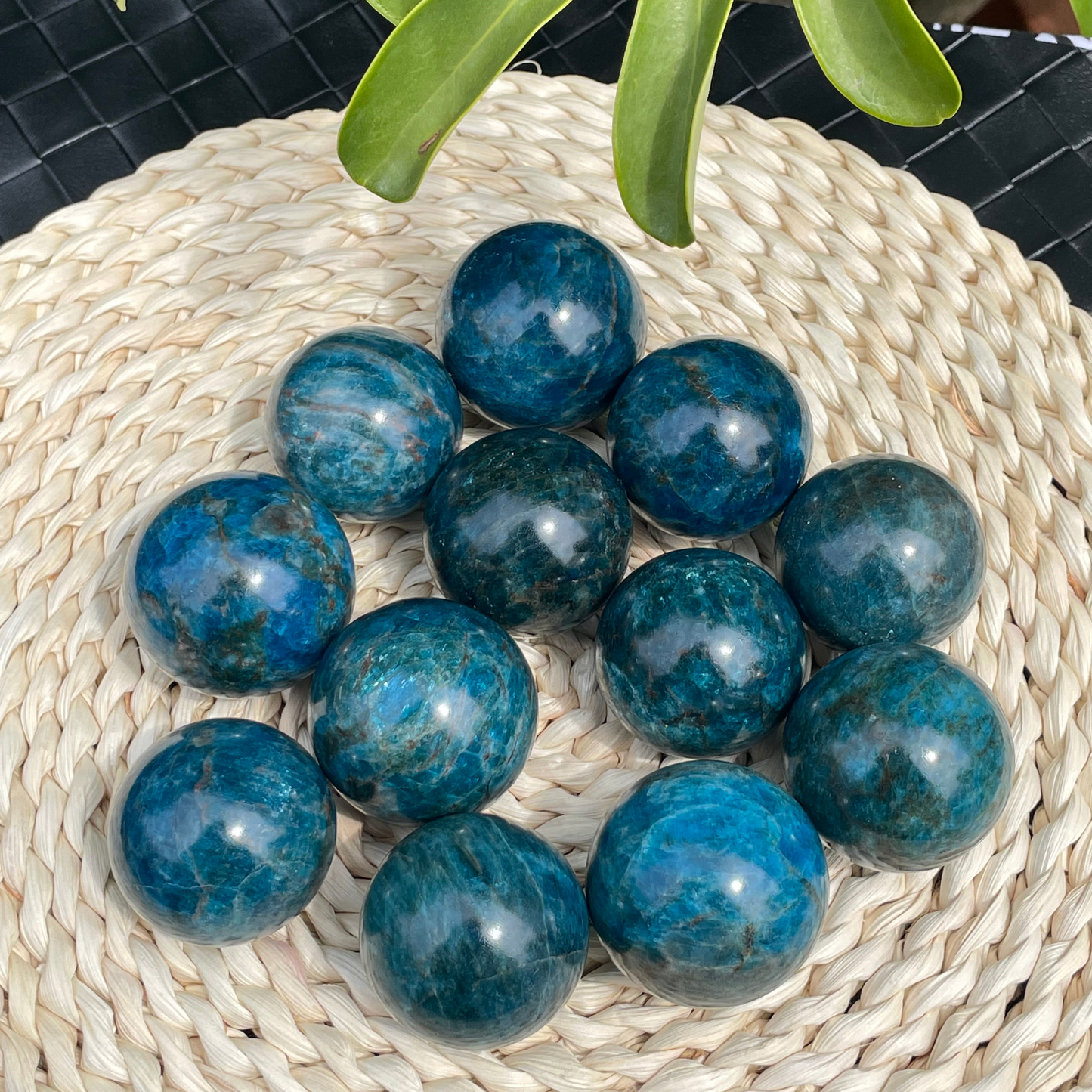 Natural Apatite Crystal Sphere Healing Energy Ball Meditation Home Decor Gift