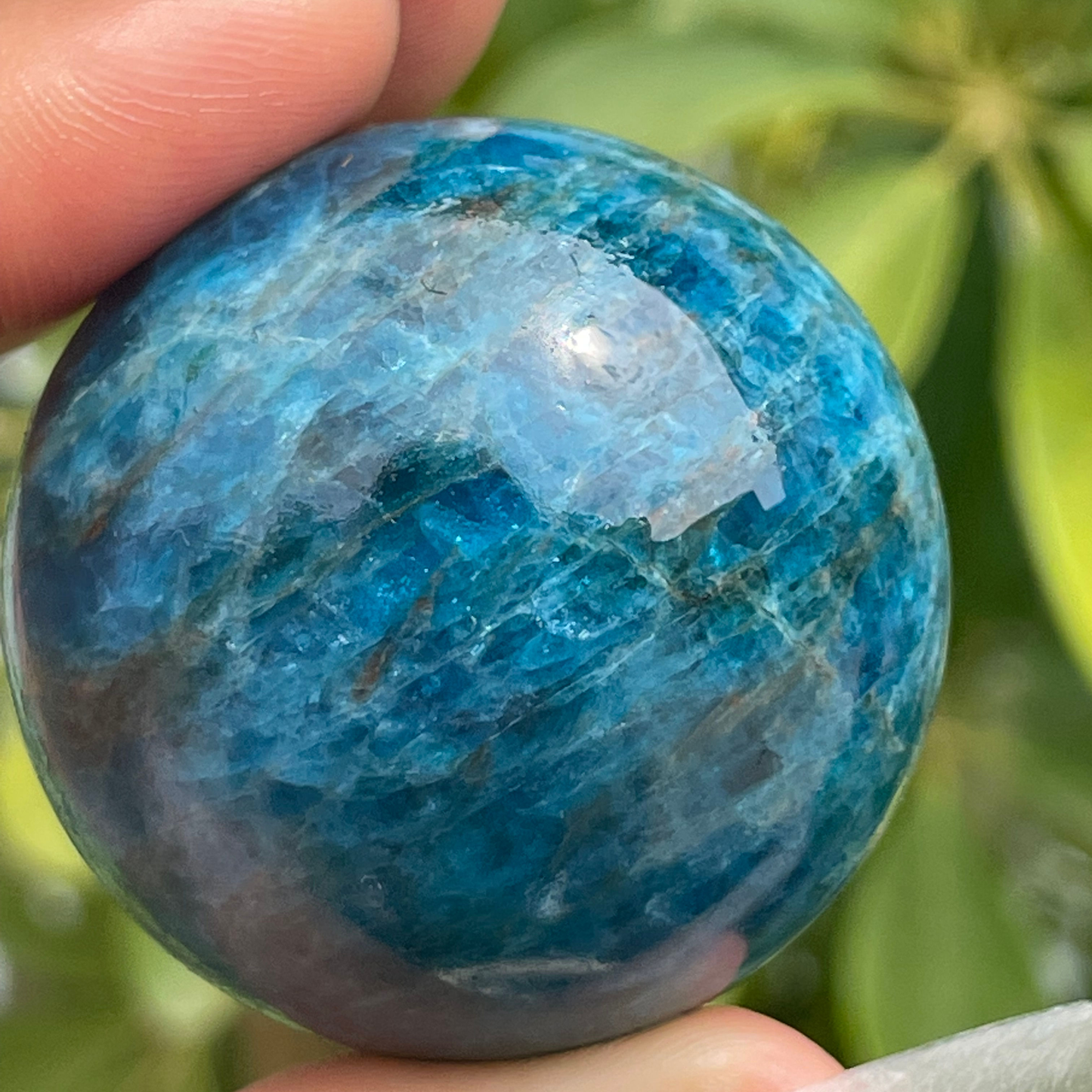 Natural Apatite Crystal Sphere Healing Energy Ball Meditation Home Decor Gift