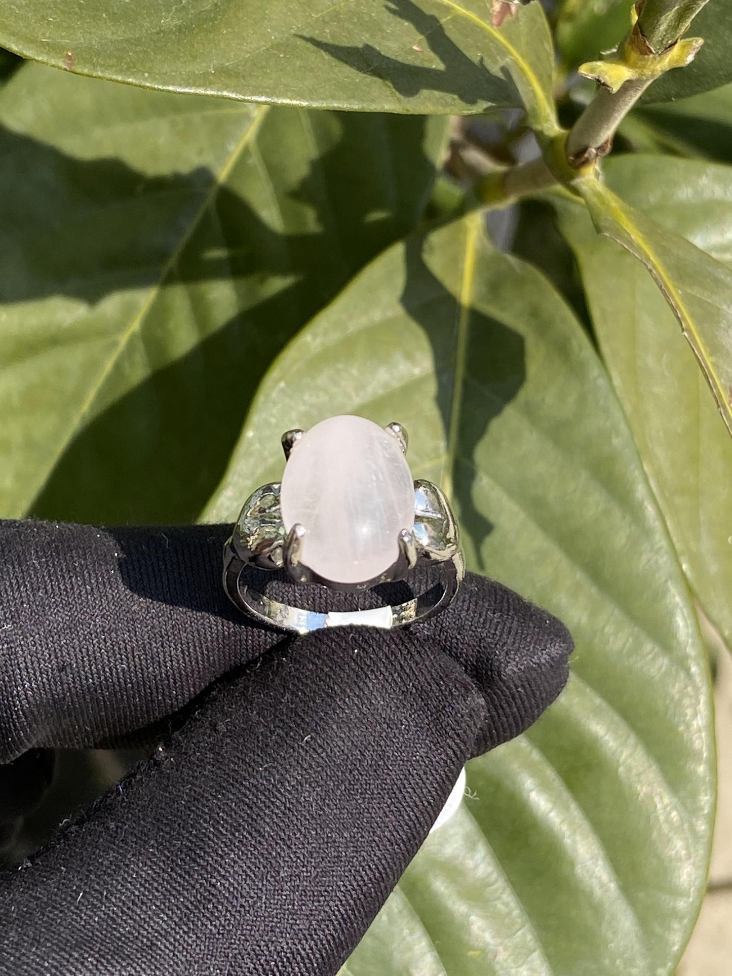 rose quartz rings