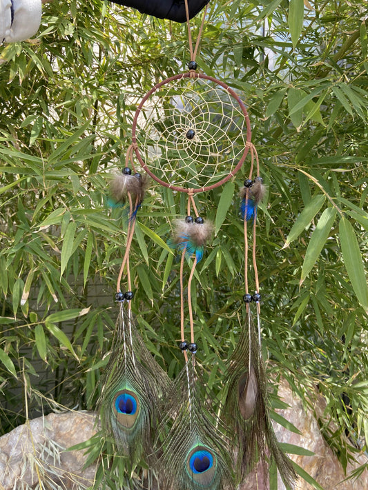 Grey peacock feather  dreamcatchers