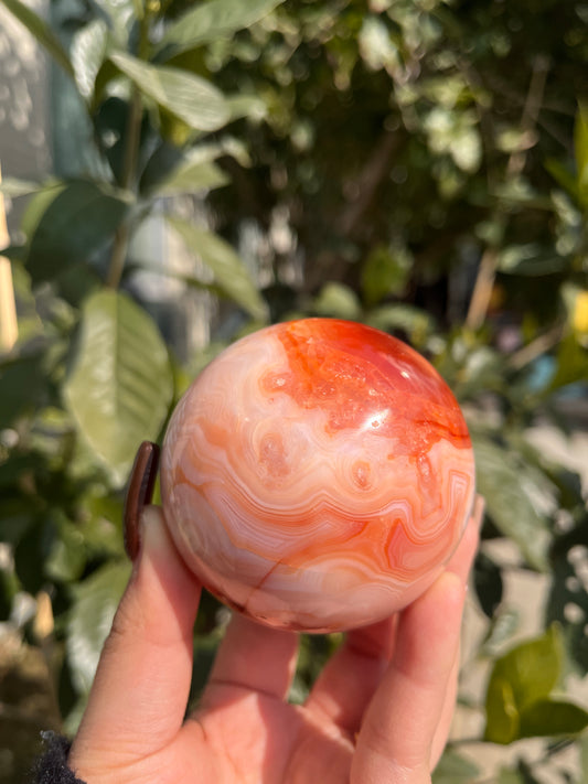 red sardonyx  sphere