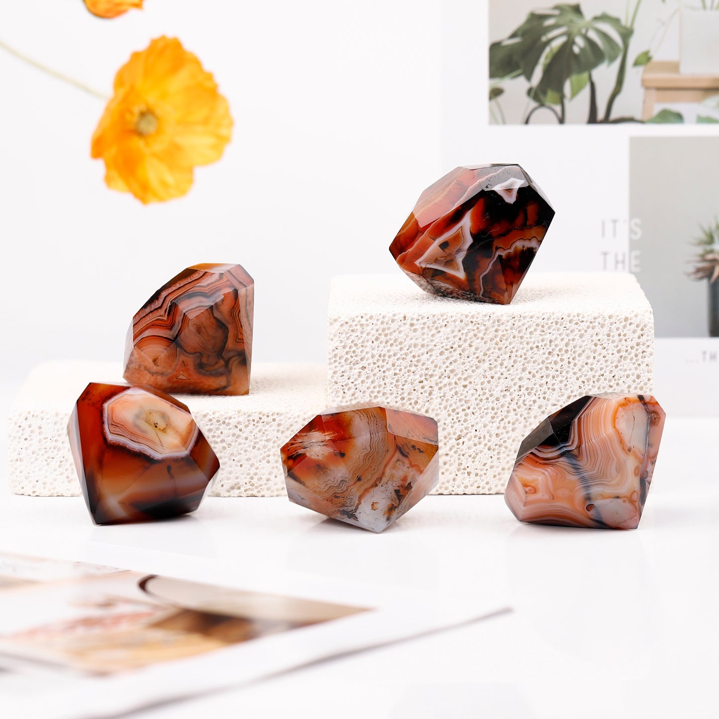 Natural Black and red wrapped agate carved diamonds Heal ing Gemstone Home Decor