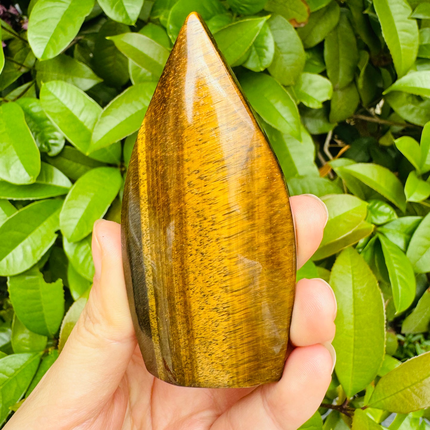 Natural Yellow Tiger Eye Ornament Heal ing Gemstone Home Decor