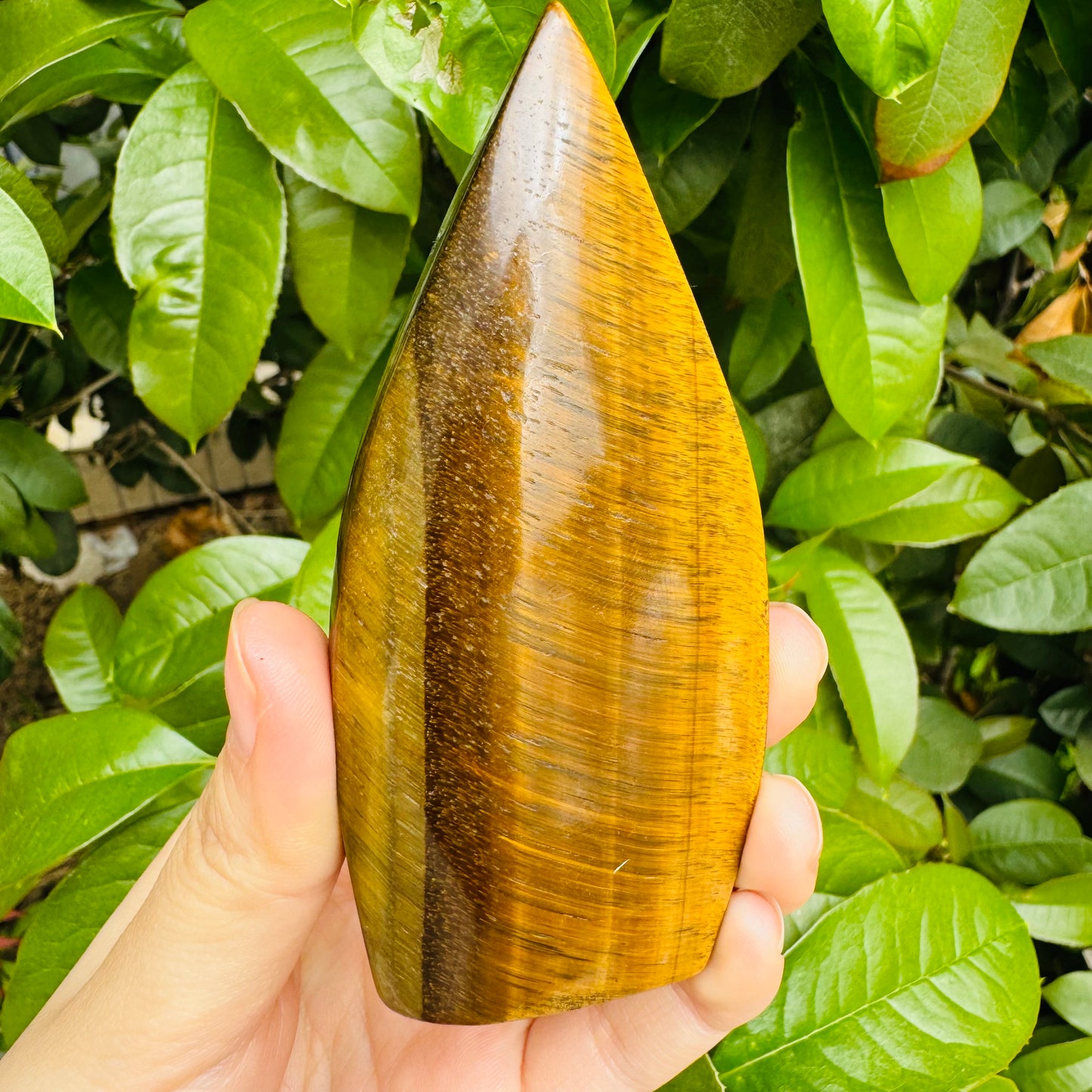 Natural Yellow Tiger Eye Ornament Heal ing Gemstone Home Decor