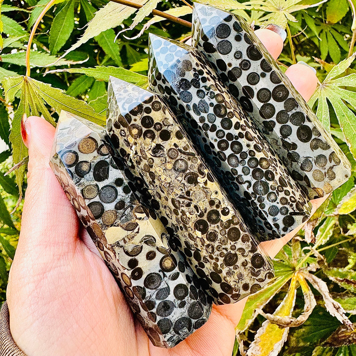 Natural Black Panther Pattern Stone Single Pointed Column Heal ing Gemstone Home Decor