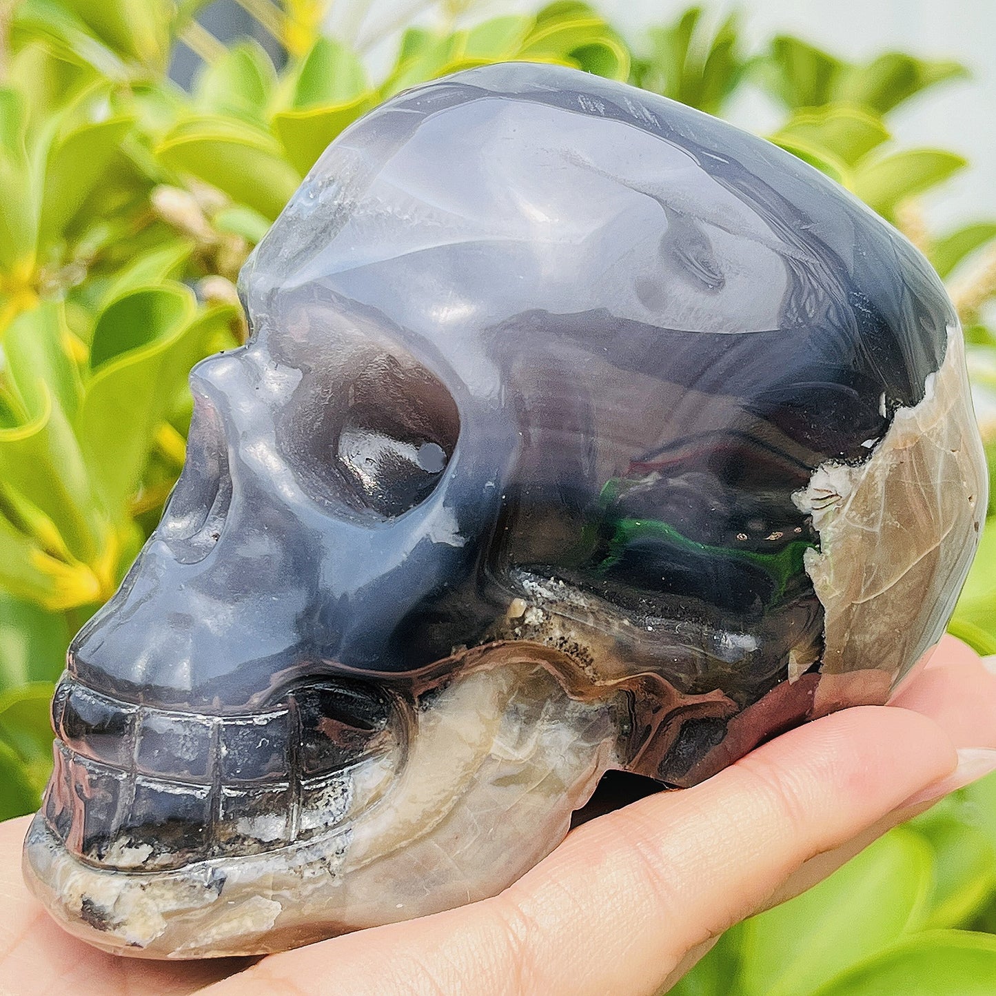 Natural Fluorescent agate skull Heal ing Gemstone Home Decor