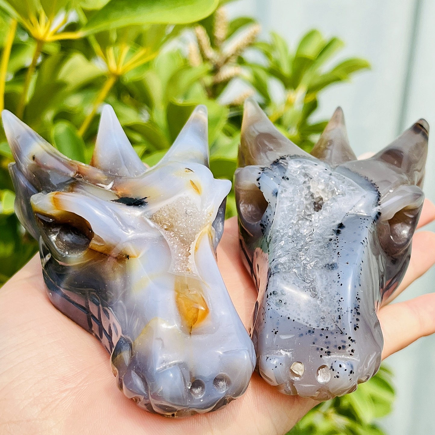 Natural Crystal Cave Agate Carving Dragon Head Heal ing Gemstone Home Decor