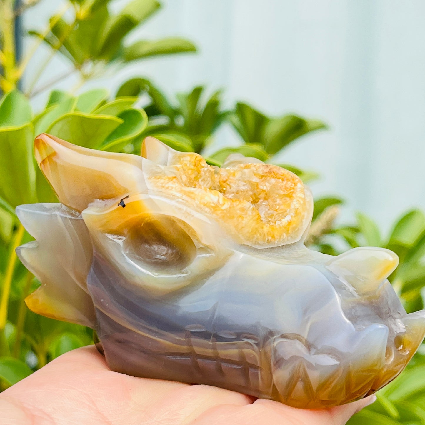 Natural Crystal Cave Agate Carving Dragon Head Heal ing Gemstone Home Decor