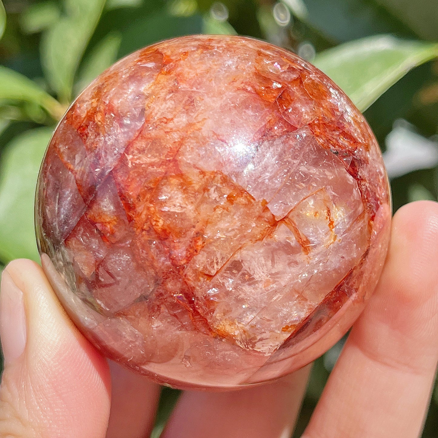 Natural Red gum flower ball Heal ing Gemstone Home Decor