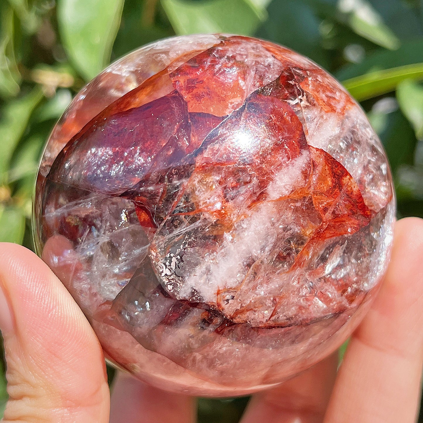Natural Red gum flower ball Heal ing Gemstone Home Decor