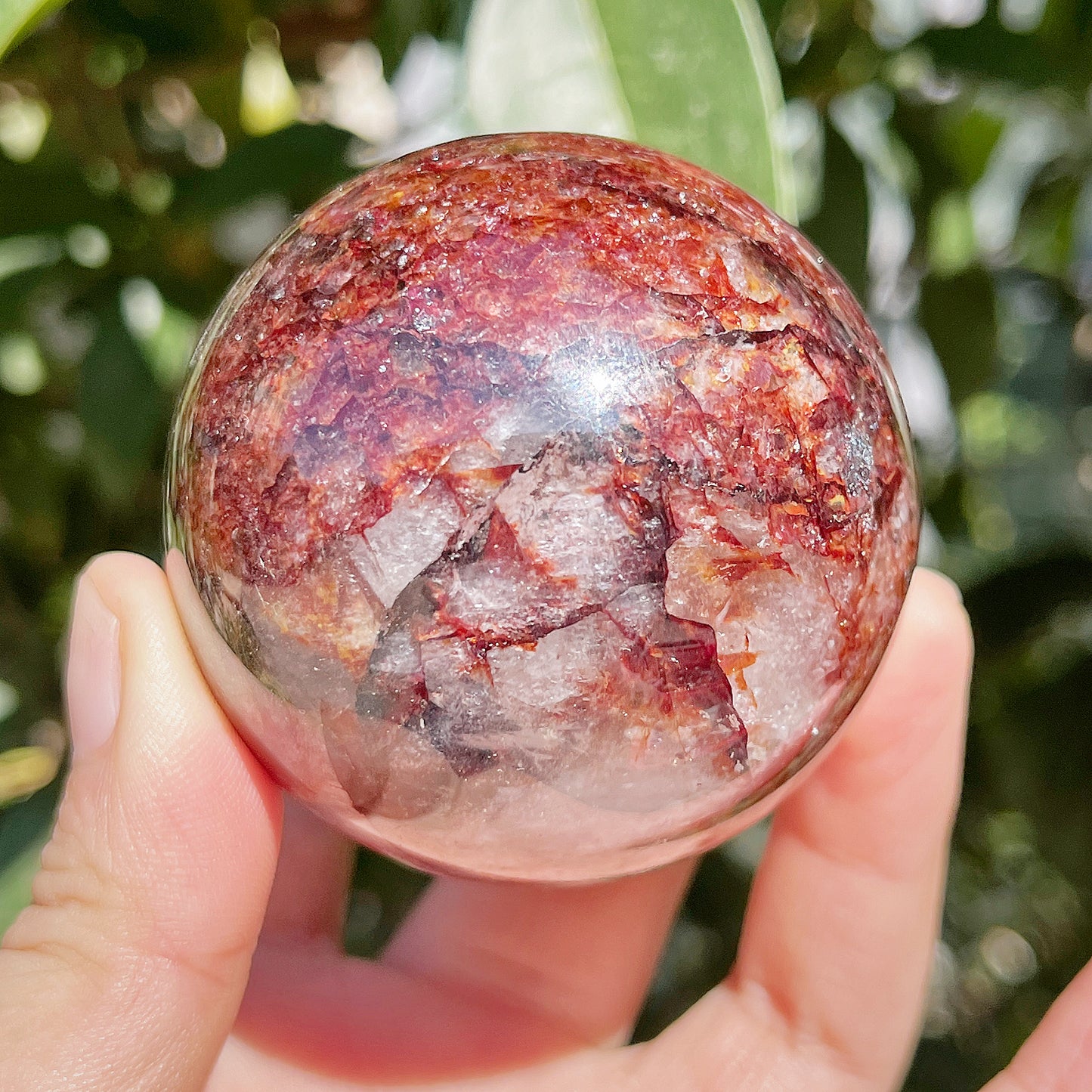 Natural Red gum flower ball Heal ing Gemstone Home Decor