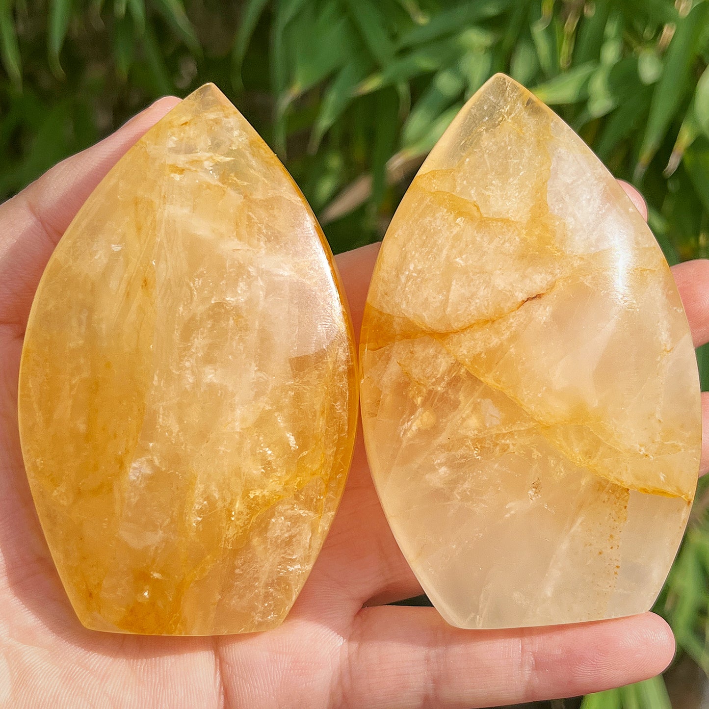 Natural Yellow gum flower ornament Heal ing Gemstone Home Decor