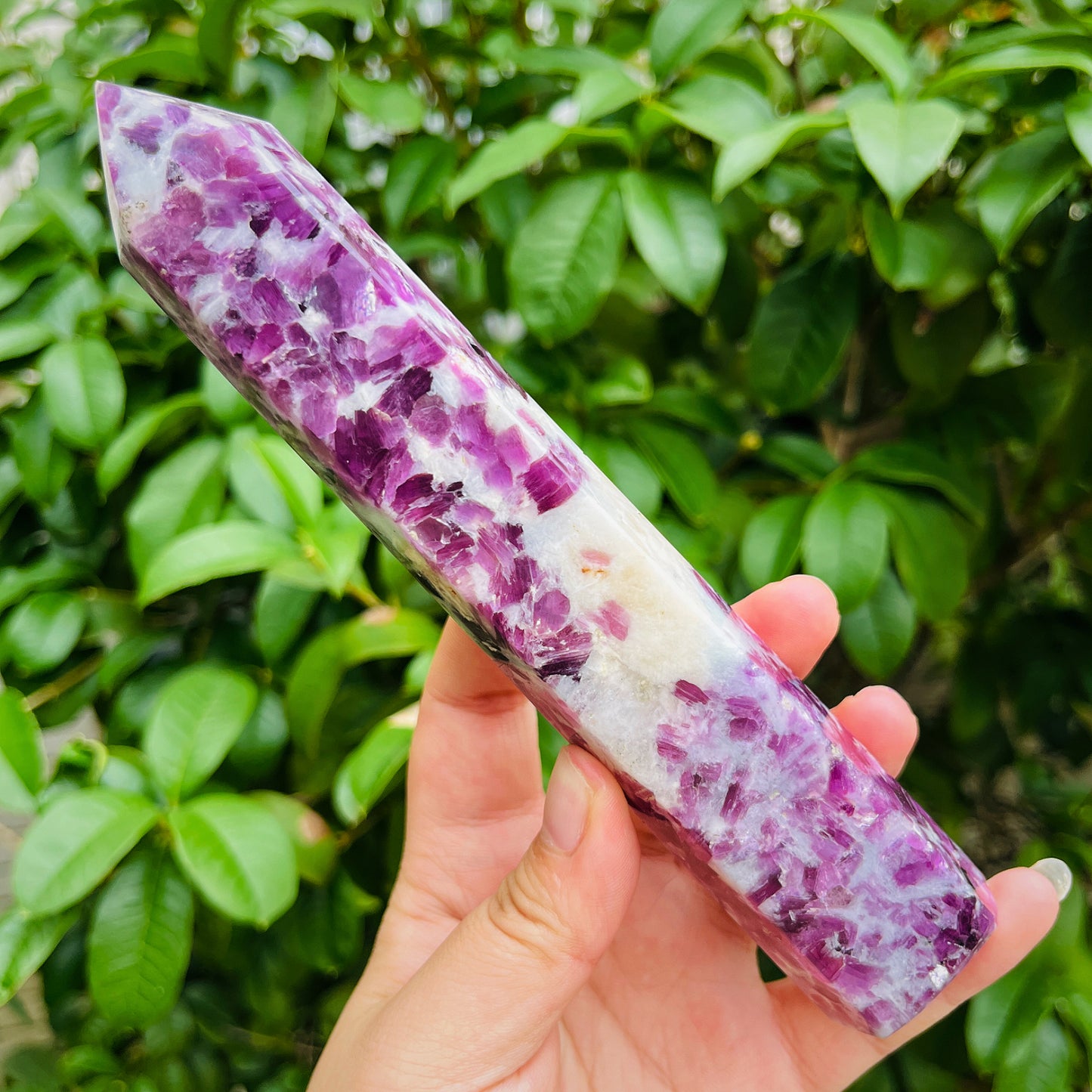 Natural Purple lithium mica single pointed large column Heal ing Gemstone Home Decor
