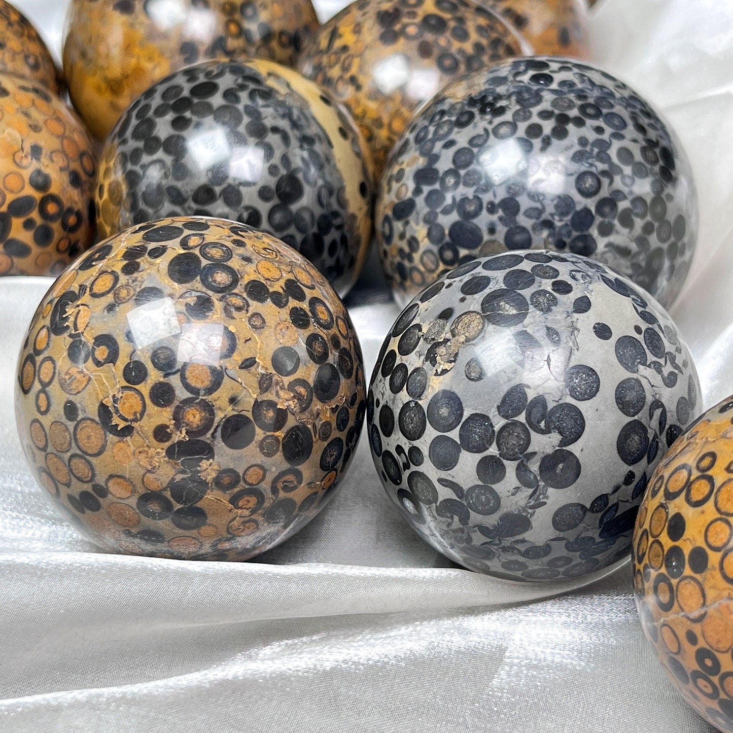 Natural Black Panther Pattern Stone Ball Heal ing Gemstone Home Decor