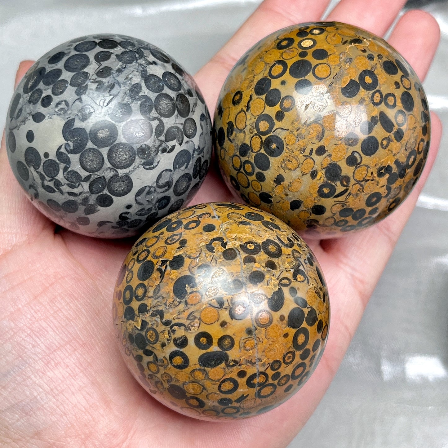 Natural Black Panther Pattern Stone Ball Heal ing Gemstone Home Decor