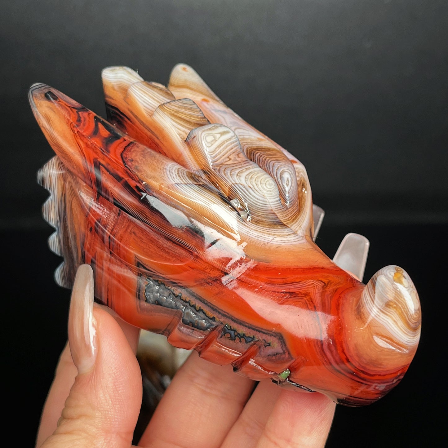 Natural Black and red wrapped agate carved dragon head Heal ing Gemstone Home Decor