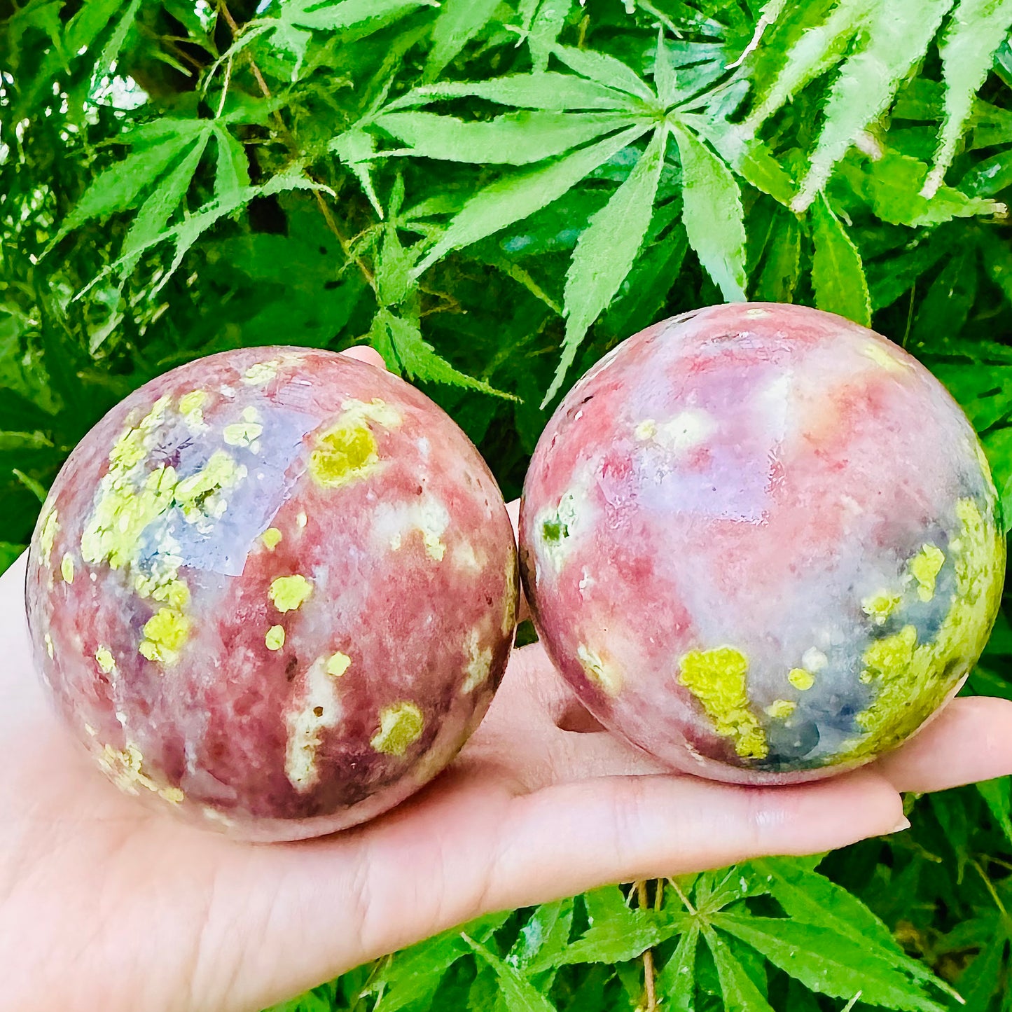 Natural Lotus tourmaline ball Heal ing Gemstone Home Decor