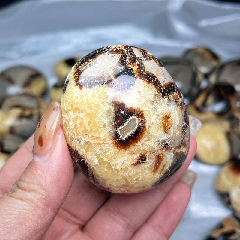 Natural Playing with turtle shaped stones and rolling stones  Heal ing Gemstone Home Decor gift