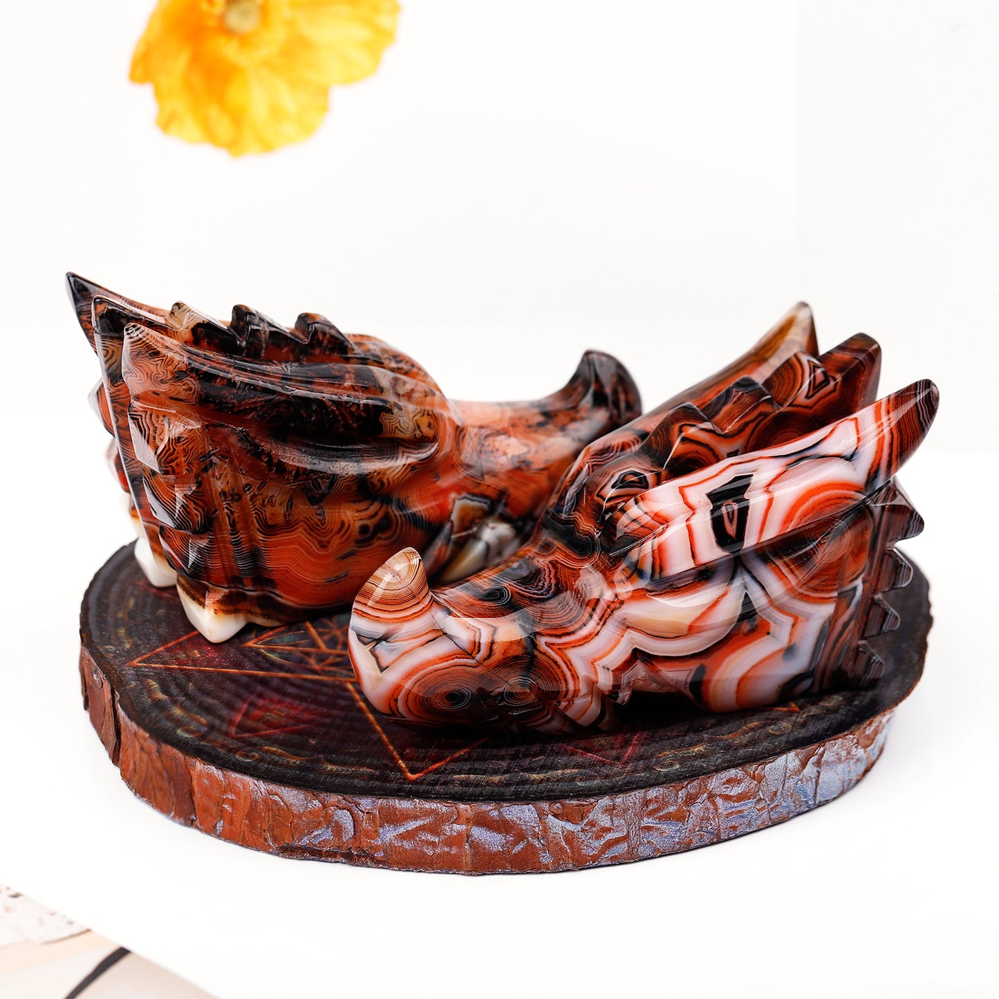 Natural Black and red wrapped agate carved dragon head Heal ing Gemstone Home Decor