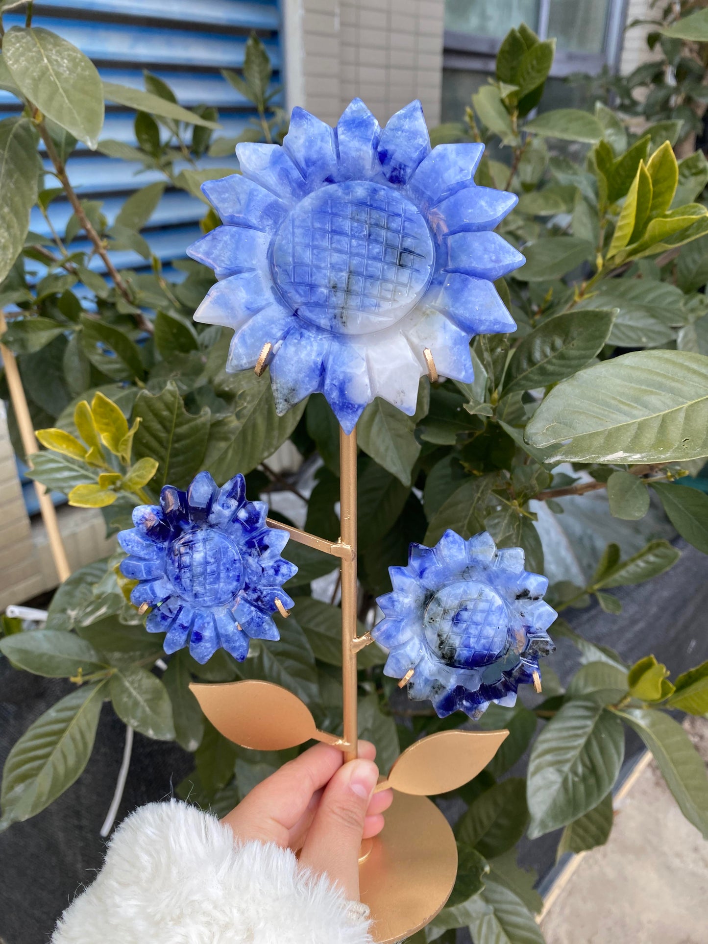 Rosy-Fanshi crystal-Sunflower combination（with holder）