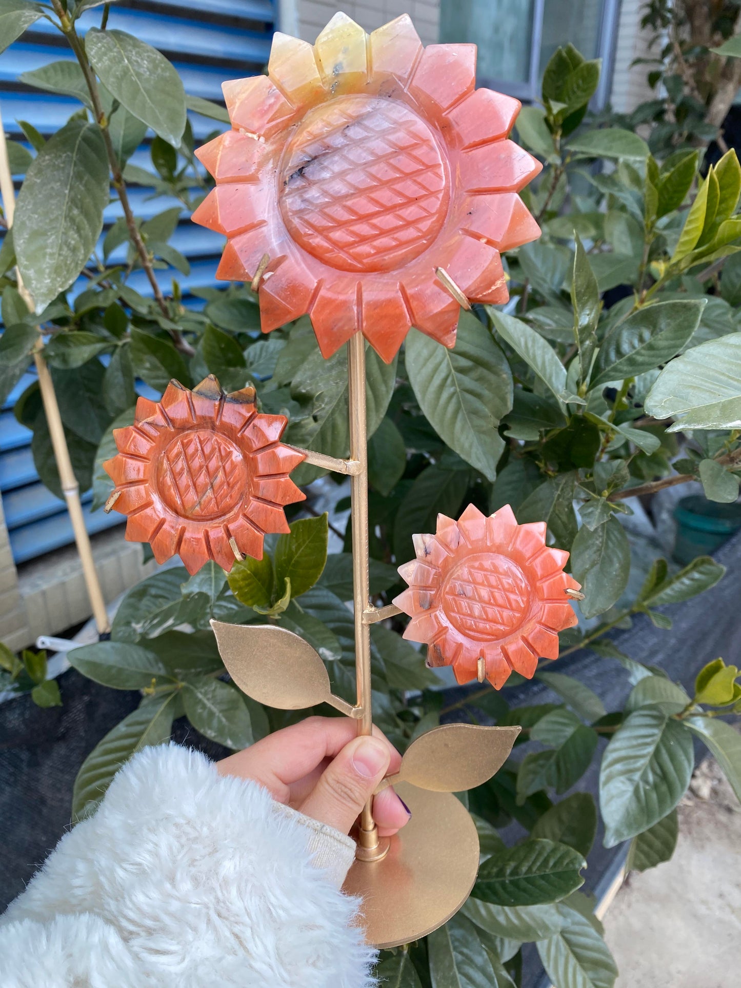 Rosy-Fanshi crystal-Sunflower combination（with holder）